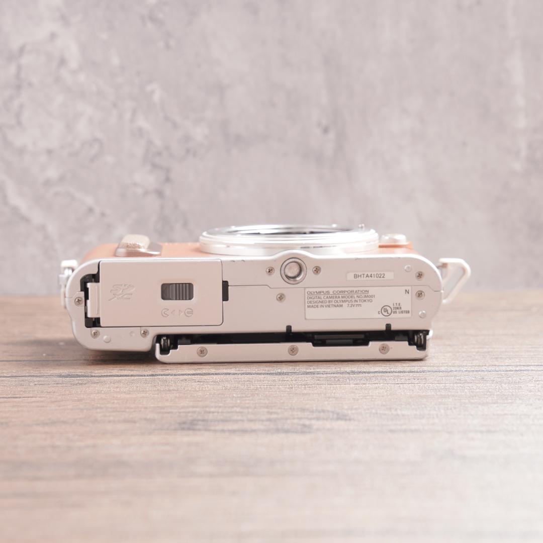 ショット数6029回で美品✨自撮り✨OLYMPUS PEN E-PL8　1093