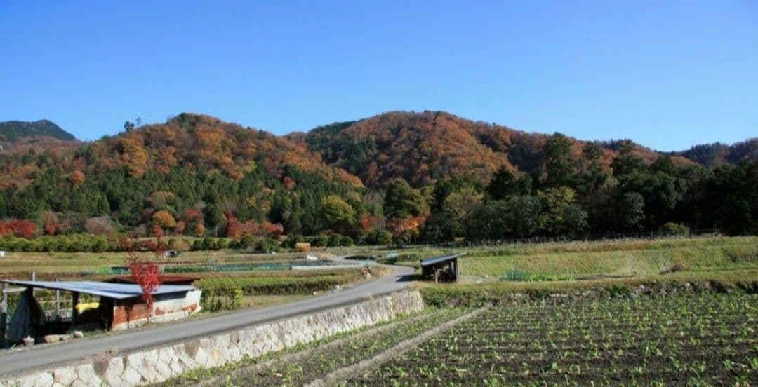 CANON　EOS 30D 一眼レフ　キャノン⚡️初心者⚡️ダブルレンズ　超望遠