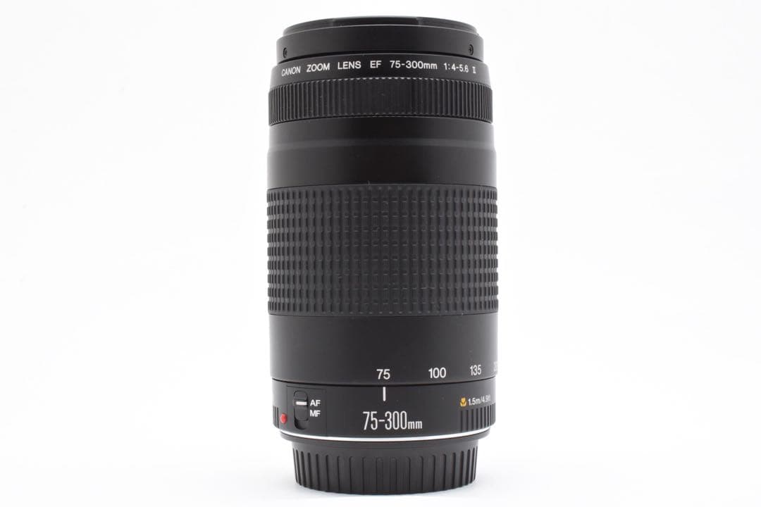 レンズ(ズーム) CANON ZOOM LENS EF 75-300mm F4-5.6 II
