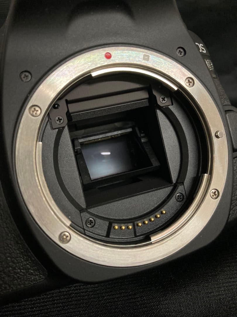 極美品Canon EOS 80D EF-S 18-135 IS USM一眼レフ