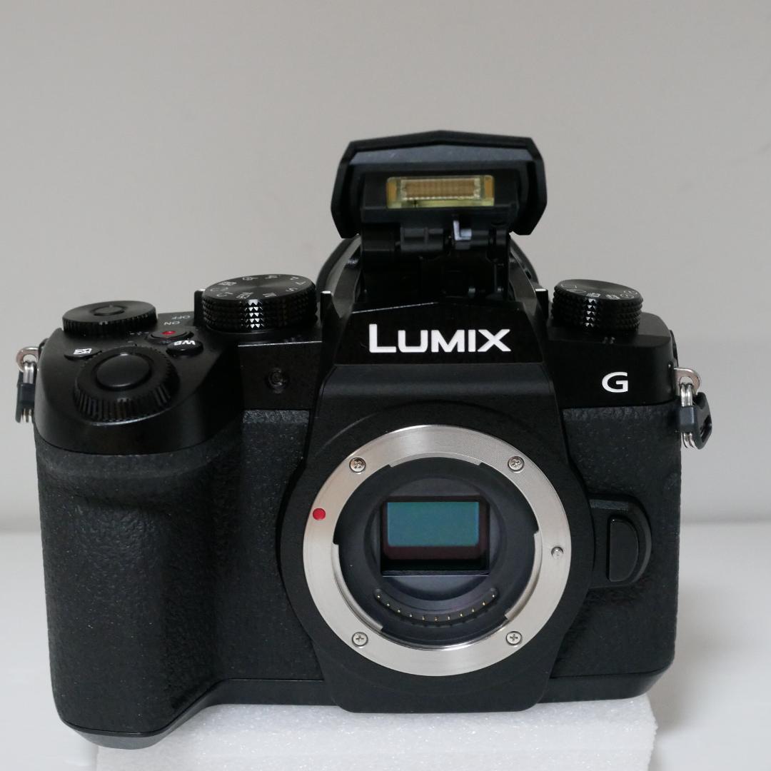 ★★美品★★完動品★★ルミックス高性能一眼ＤＣ－Ｇ９９安心のセンサーゴミ試験済★