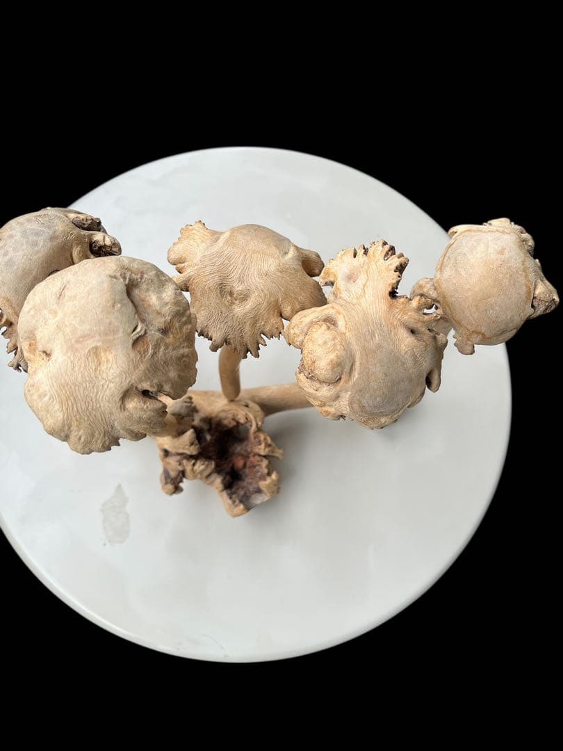 ☆ 木製 きのこ型 5株　アートオブジェ