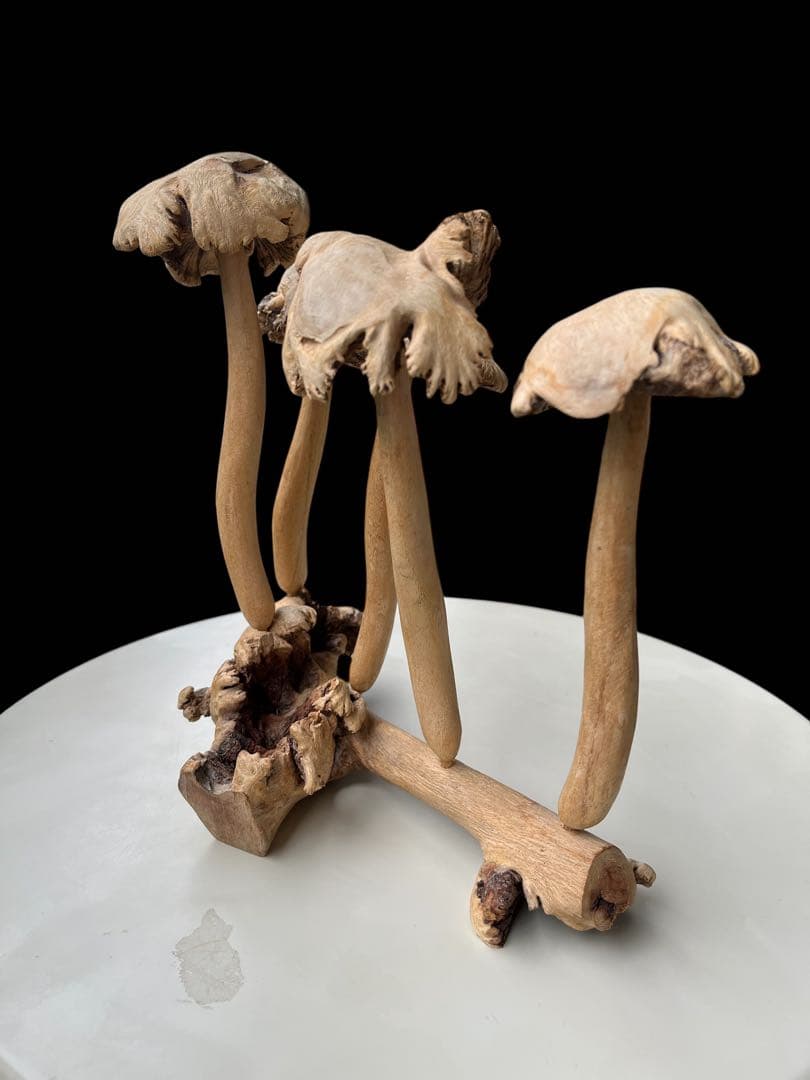 ☆ 木製 きのこ型 5株　アートオブジェ