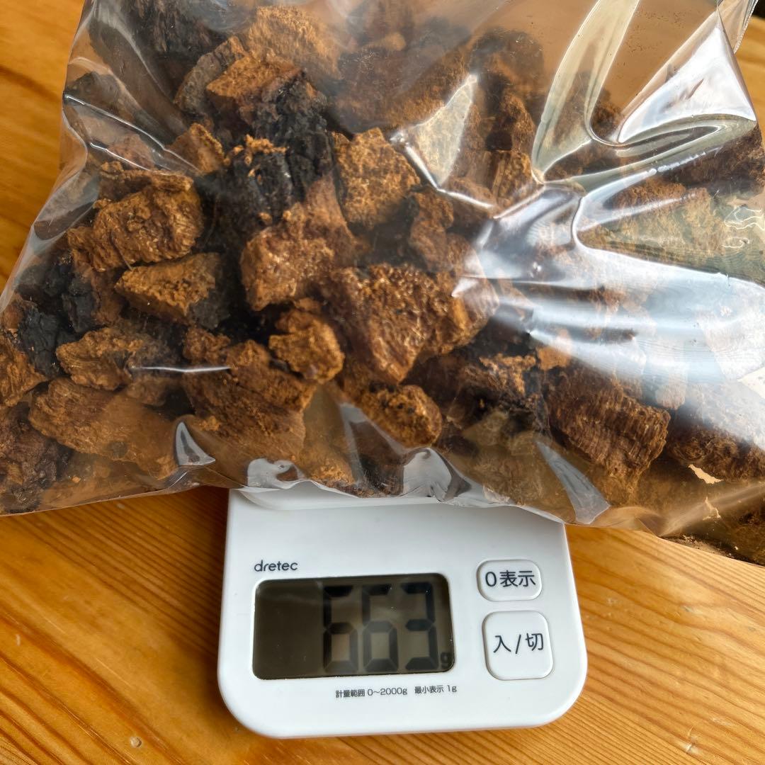 カバノアナタケ（乾燥）北海道・道東産　1.3kg