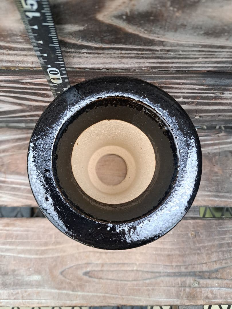 錦鉢　鉢　植木鉢　インテリア　植物　万年青　風蘭　長生蘭　伝統園芸　観葉植物