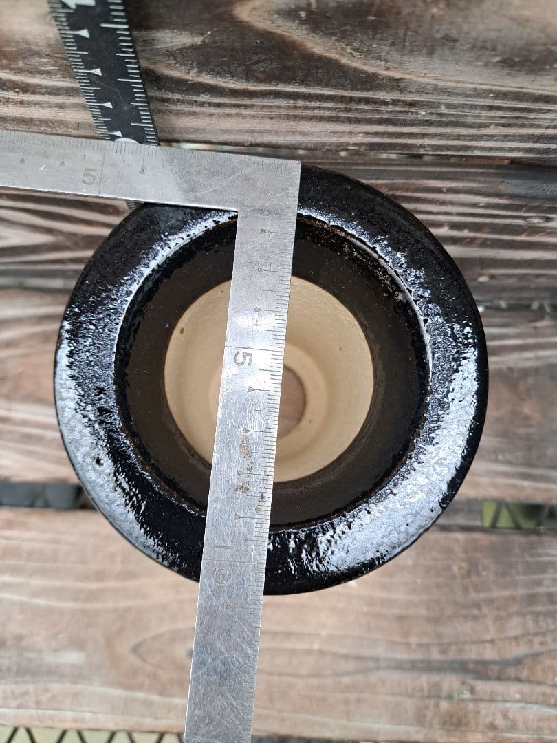 錦鉢　鉢　植木鉢　インテリア　植物　万年青　風蘭　長生蘭　伝統園芸　観葉植物