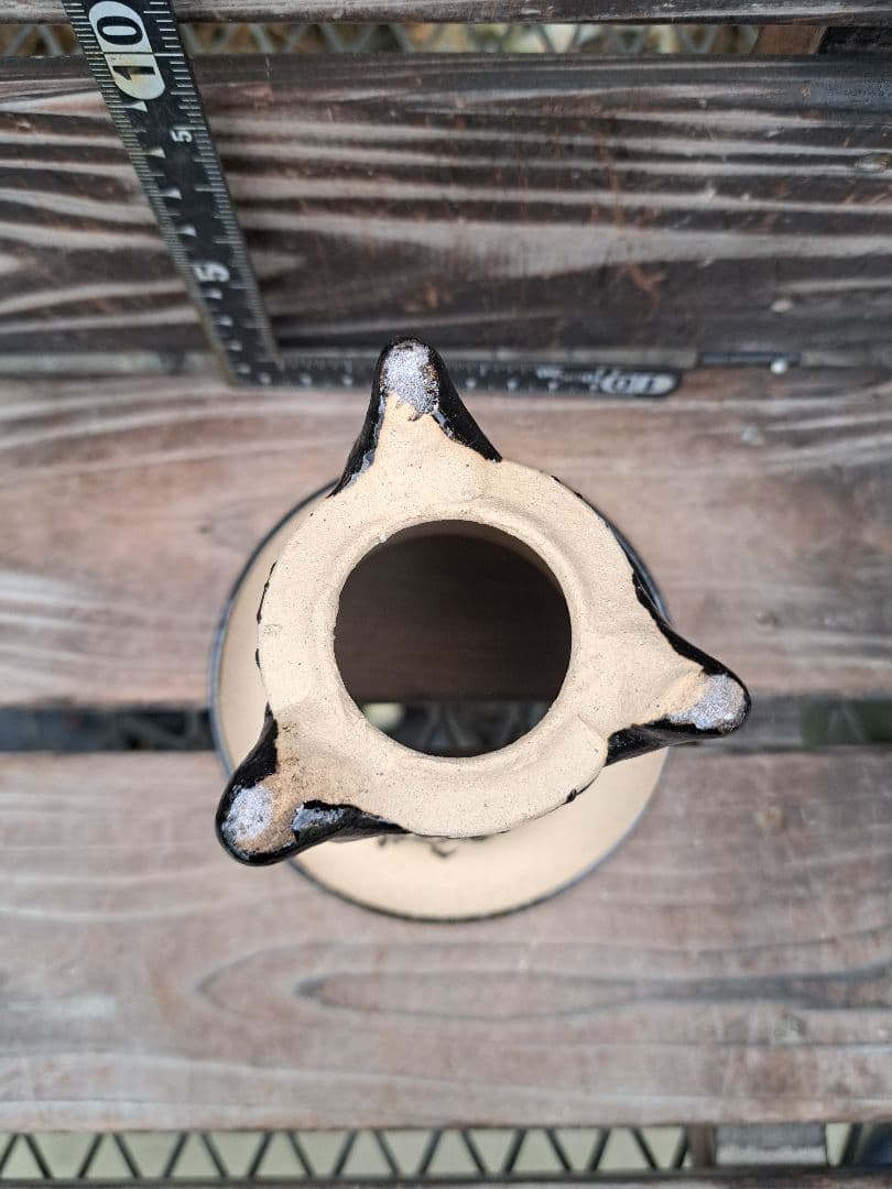 錦鉢　鉢　植木鉢　インテリア　植物　万年青　風蘭　長生蘭　伝統園芸　観葉植物