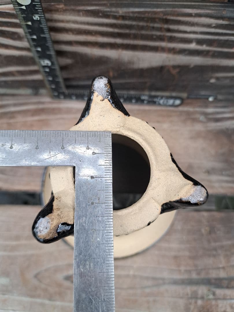 錦鉢　鉢　植木鉢　インテリア　植物　万年青　風蘭　長生蘭　伝統園芸　観葉植物