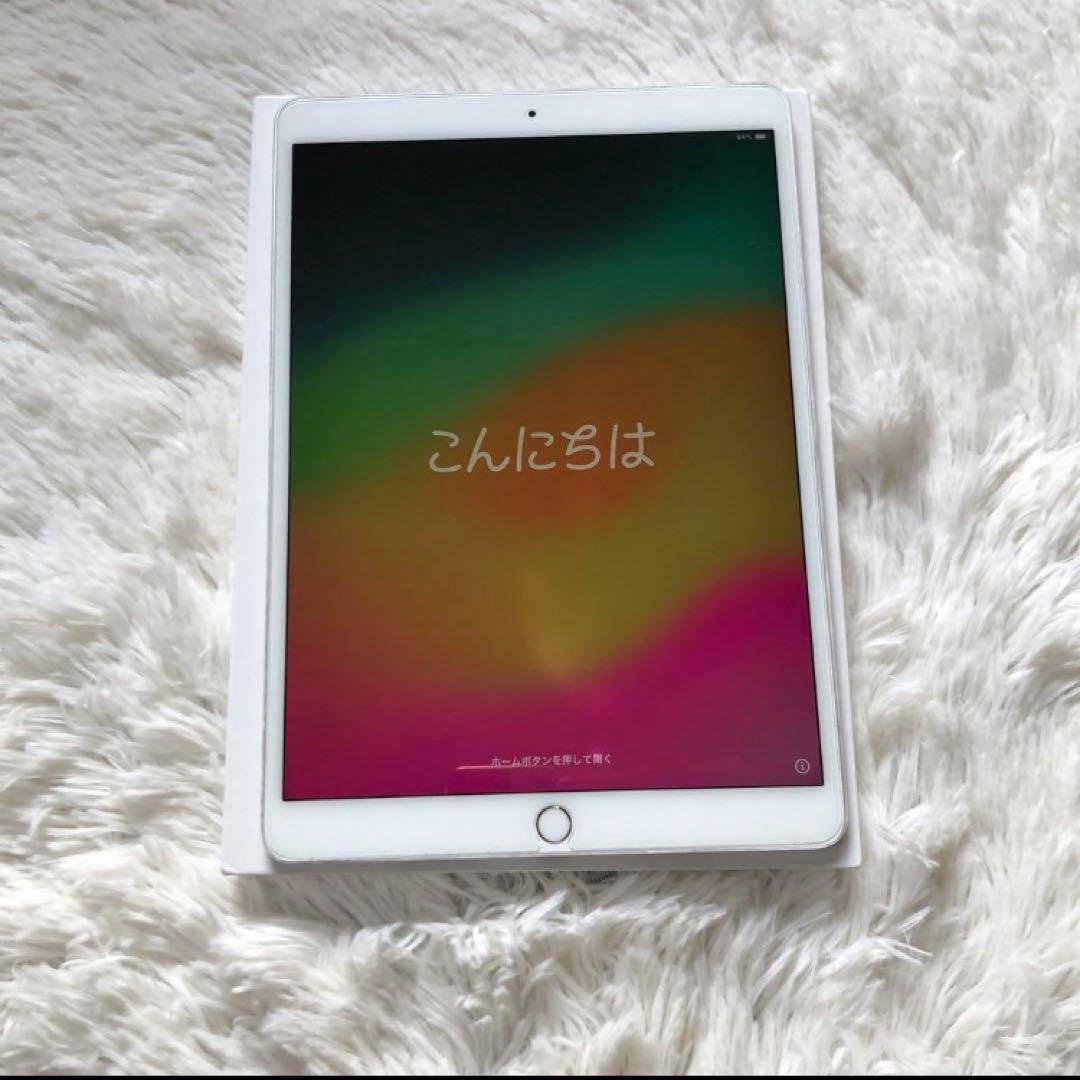 【早い者勝ち】iPad Pro 10.5 256GB 【すぐ発送】【付属品】