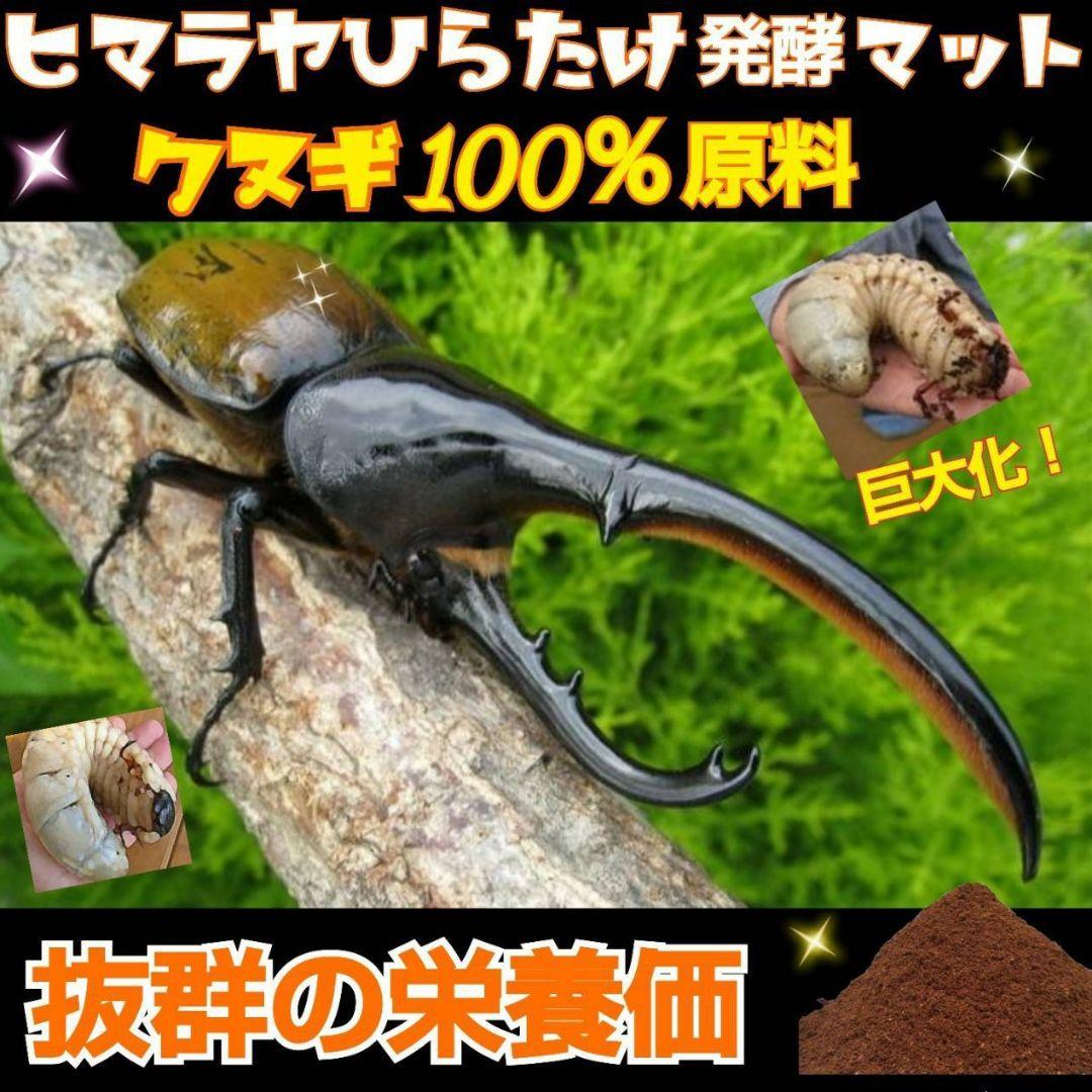 国産カブトムシ幼虫が大きくなる！改良版！発酵マット【たっぷり80リットル入り】
