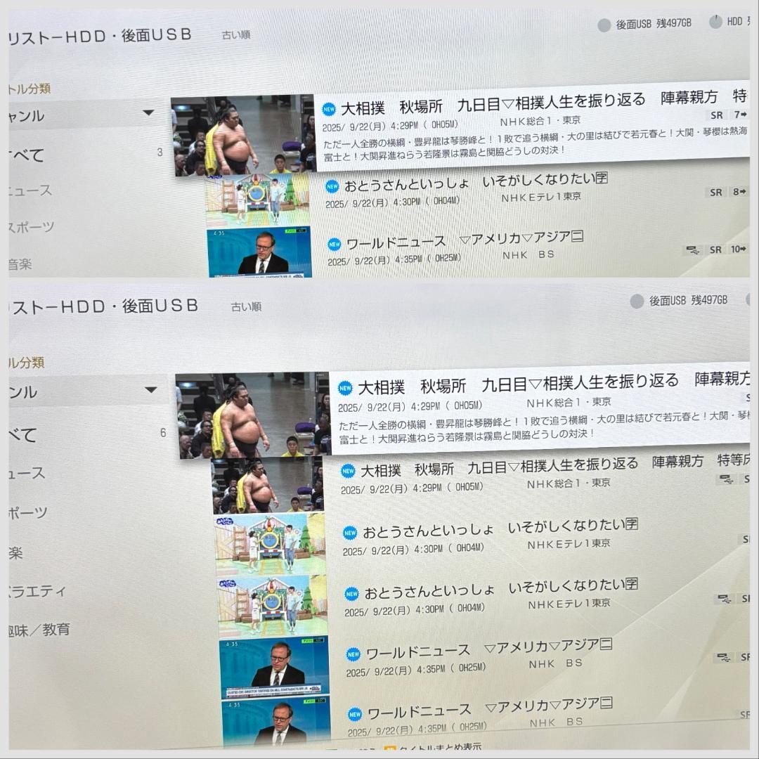 【完動・付属品フルセット】W録 ソニー ブルーレイレコーダー BDZ-ZW550