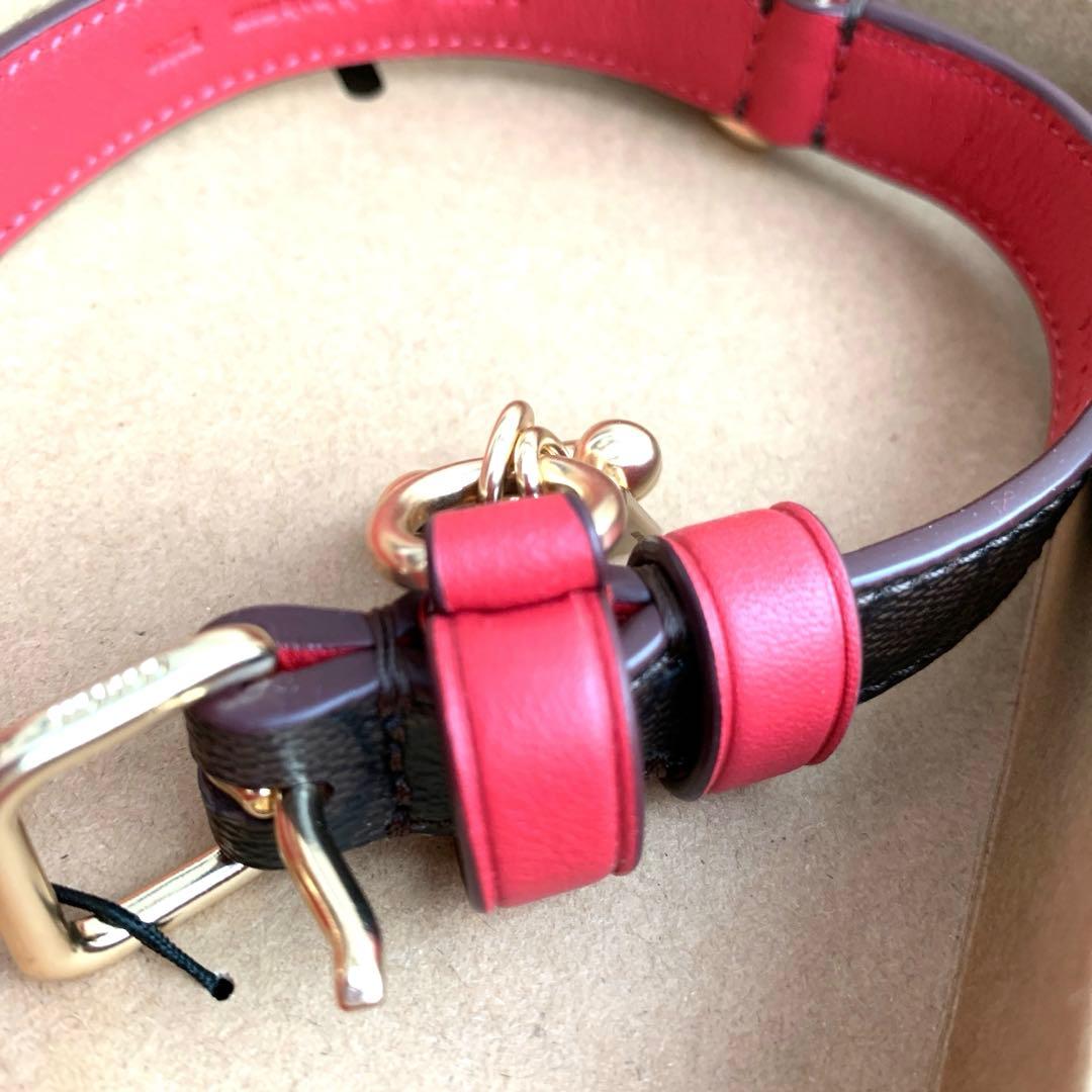 COACH コーチ　シグネチャー　赤　首輪　ドッグ　リード 小型犬　犬　ペット