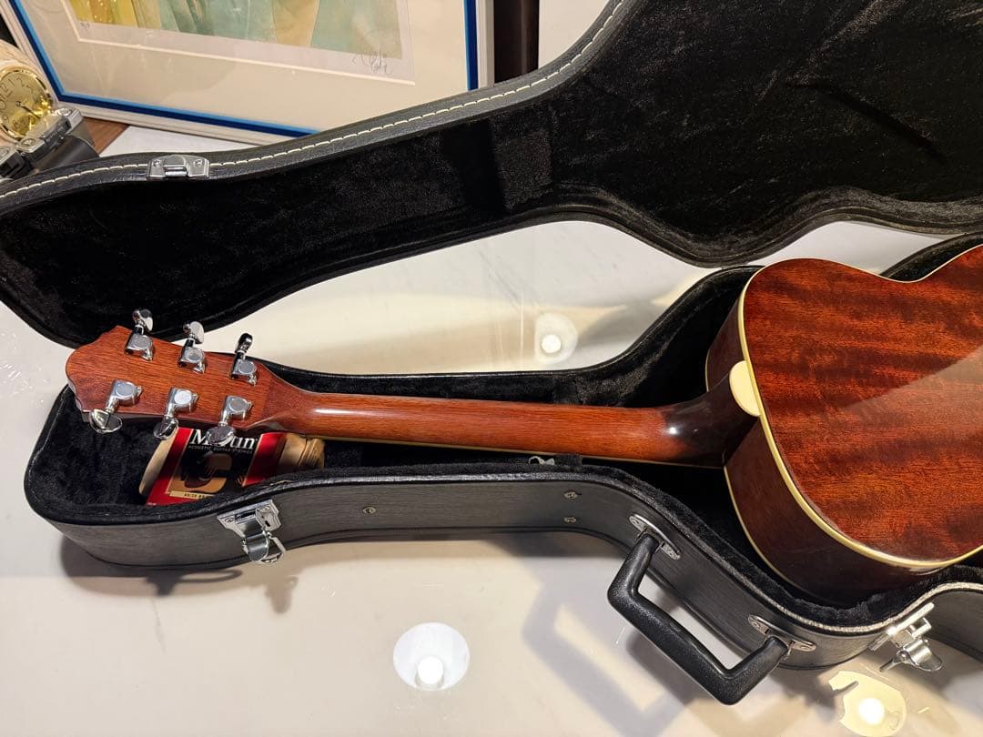 Ibanez アコースティックギター ハードケース付