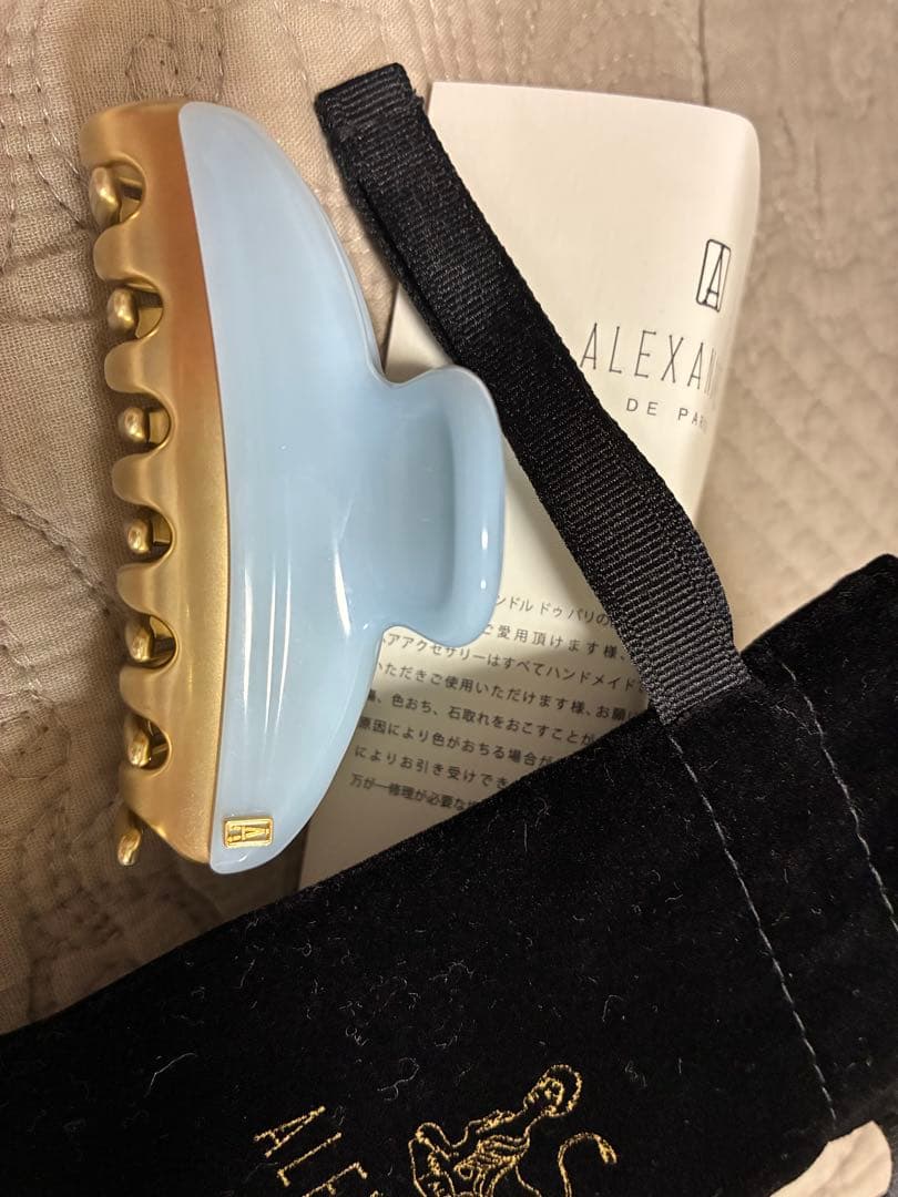 ALEXANDRE DE PARIS 水色ヘアクリップ