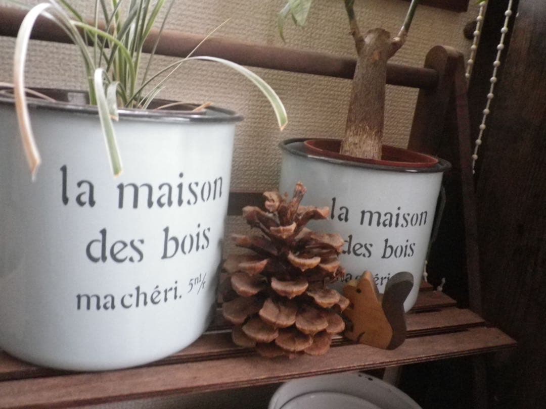 セール　PENTAX デジタルカメラ I-10 、ジャケット、スマホ転送セット