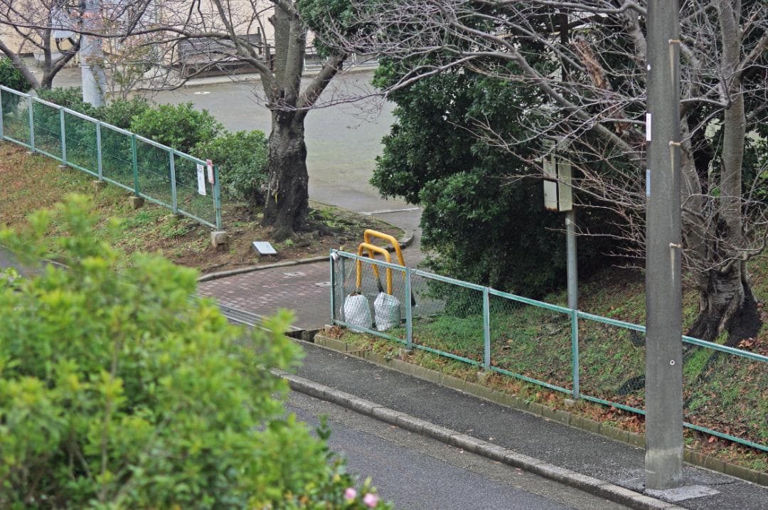 レンズ(単焦点) SMC Pentax-FA 100mm F2.8 Macro #7854