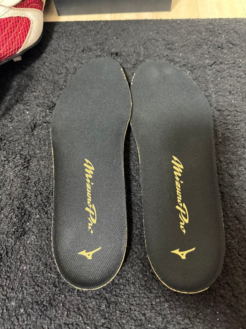 い*す様 ミズノプロ オーダースパイク 28cm