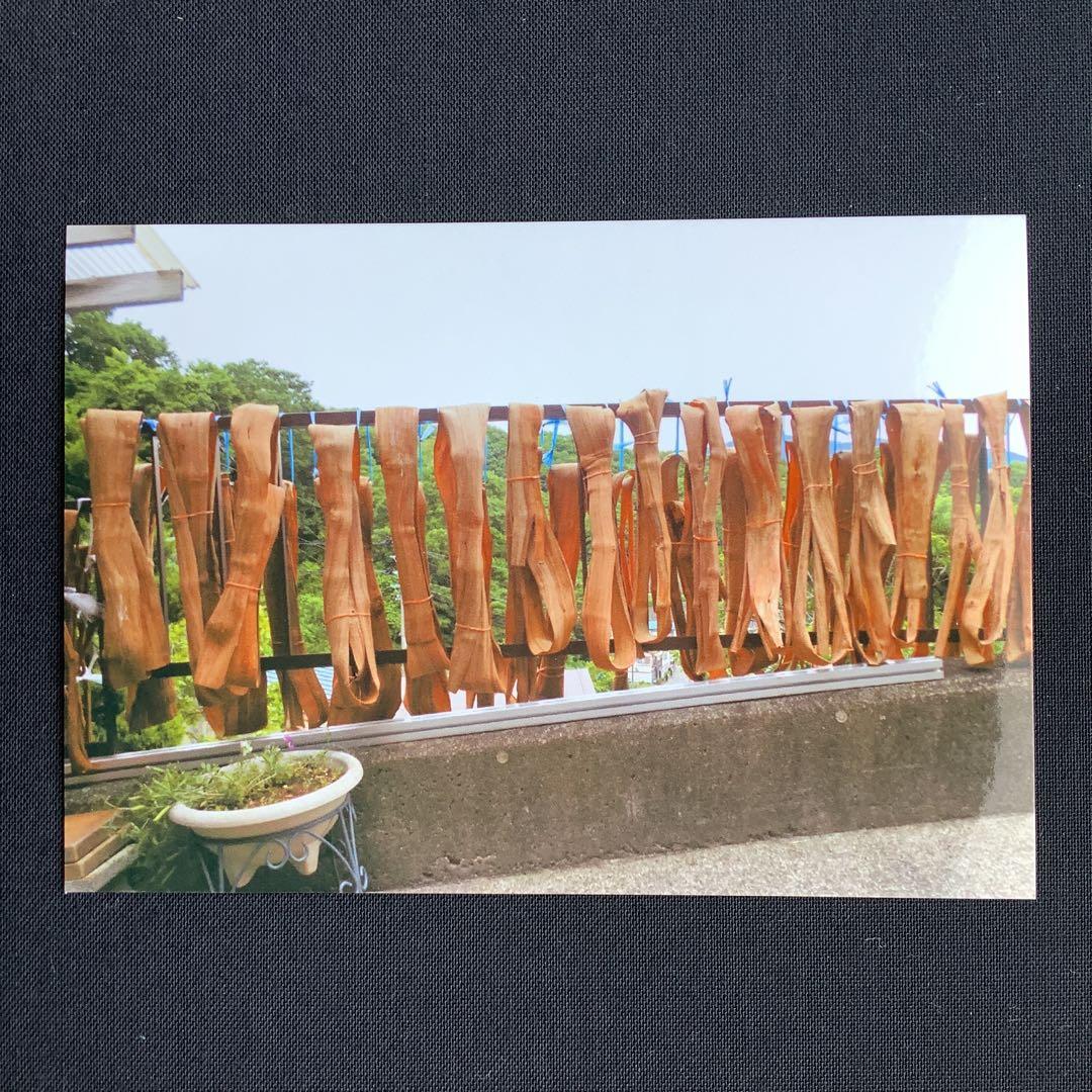 乾燥山ぶどう蔓、2kg セット。　7-065