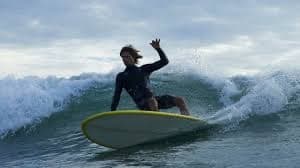 joel tudor ジョエル・チューダー ロングボード