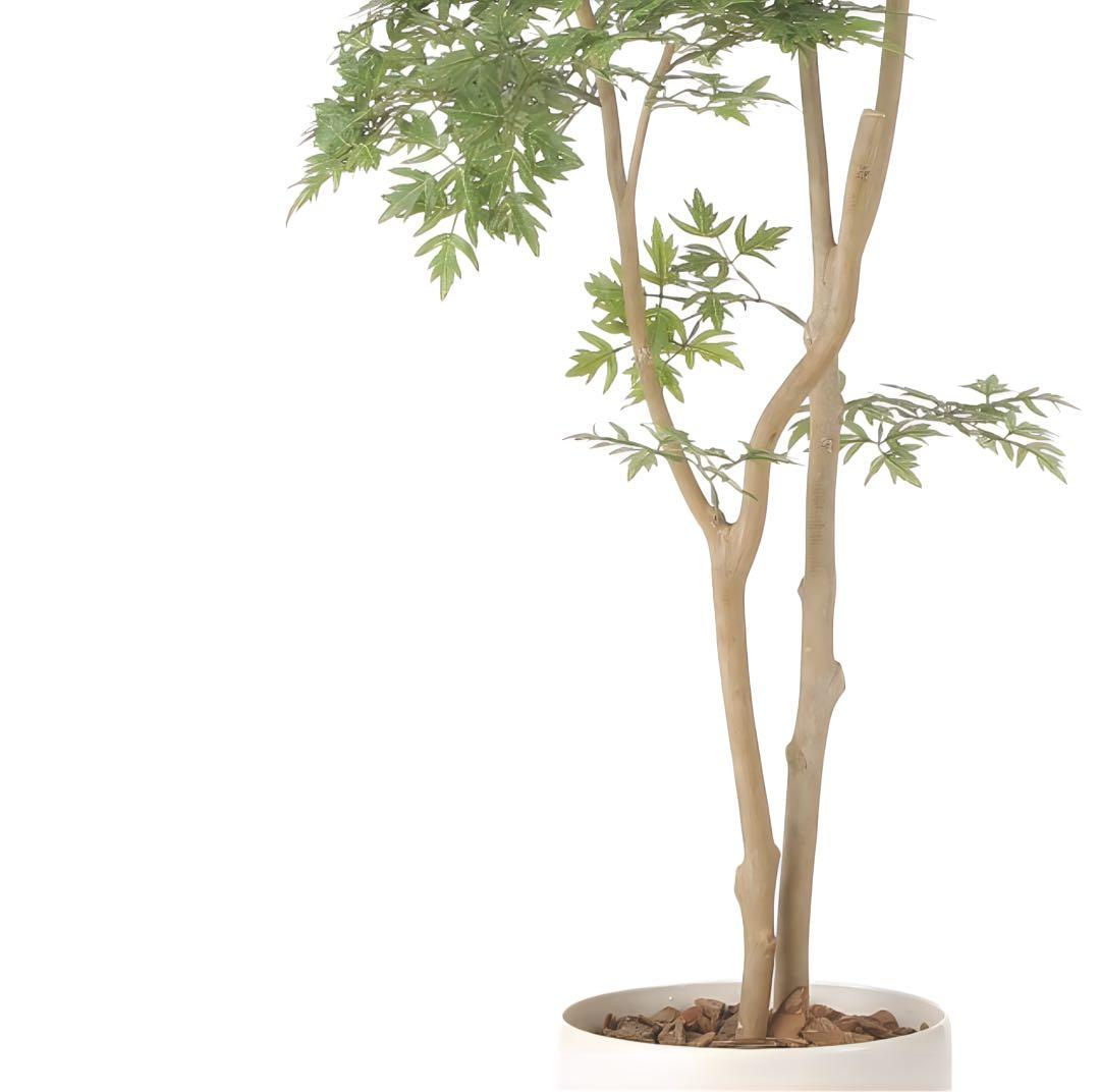 光触媒　人工観葉植物　ウォールグリーン　フェイクグリーン　タイワンモミジ1.3z