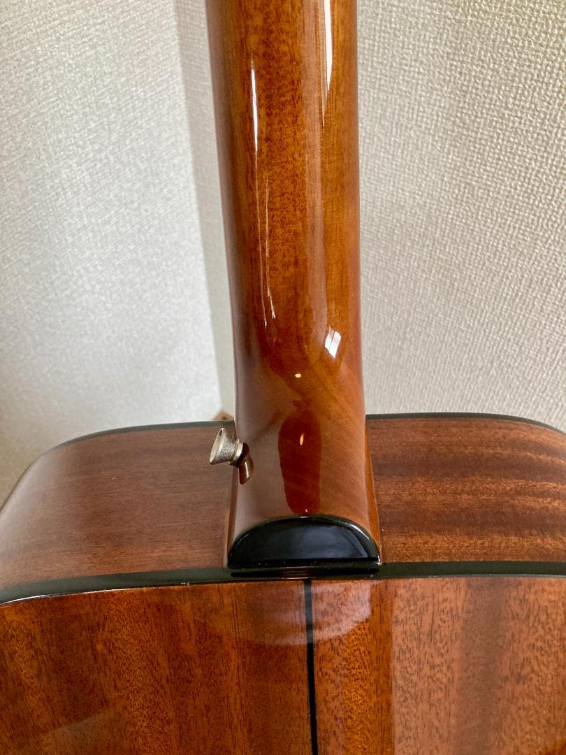 Epiphone DR-100 NA アコースティックギター