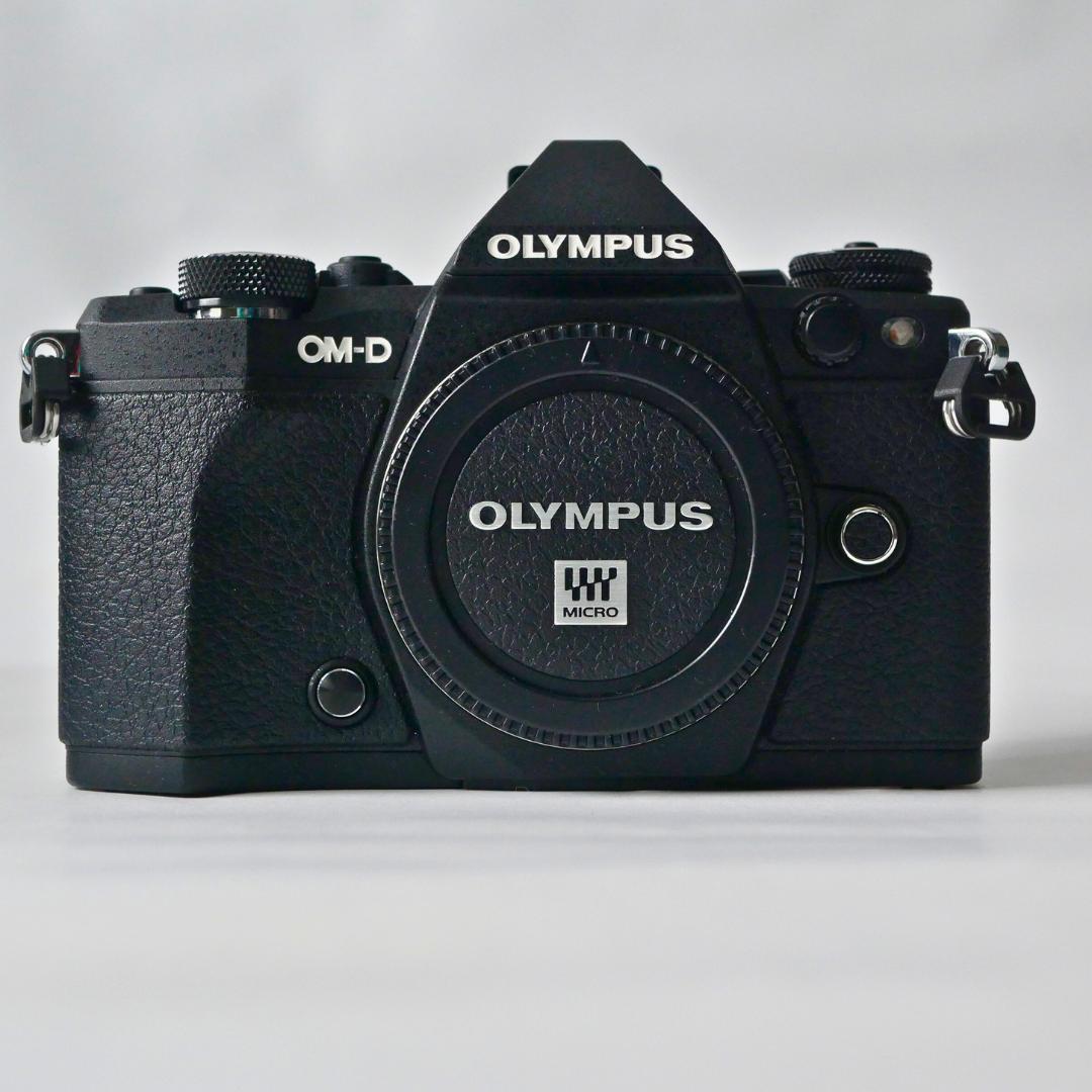【美品・シャッター回数1178回】オリンパス OM-D E-M5 Mark II