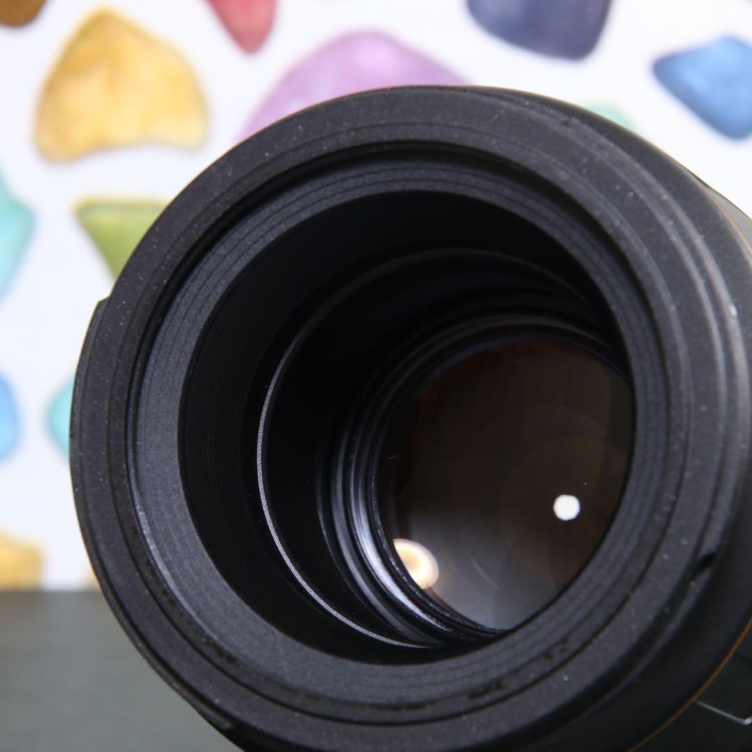 ♥︎◇中望遠マクロレンズ♪ ◇TAMRON 90ｍｍ F2.8 ◇Sony