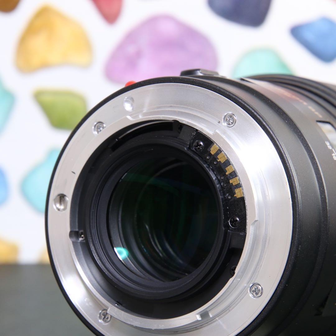 ♥︎◇中望遠マクロレンズ♪ ◇TAMRON 90ｍｍ F2.8 ◇Sony