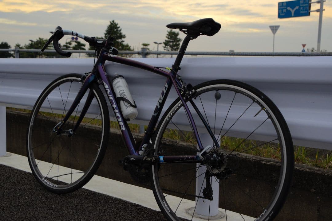 ANCHOR RL6 マジョーラカラー‼️