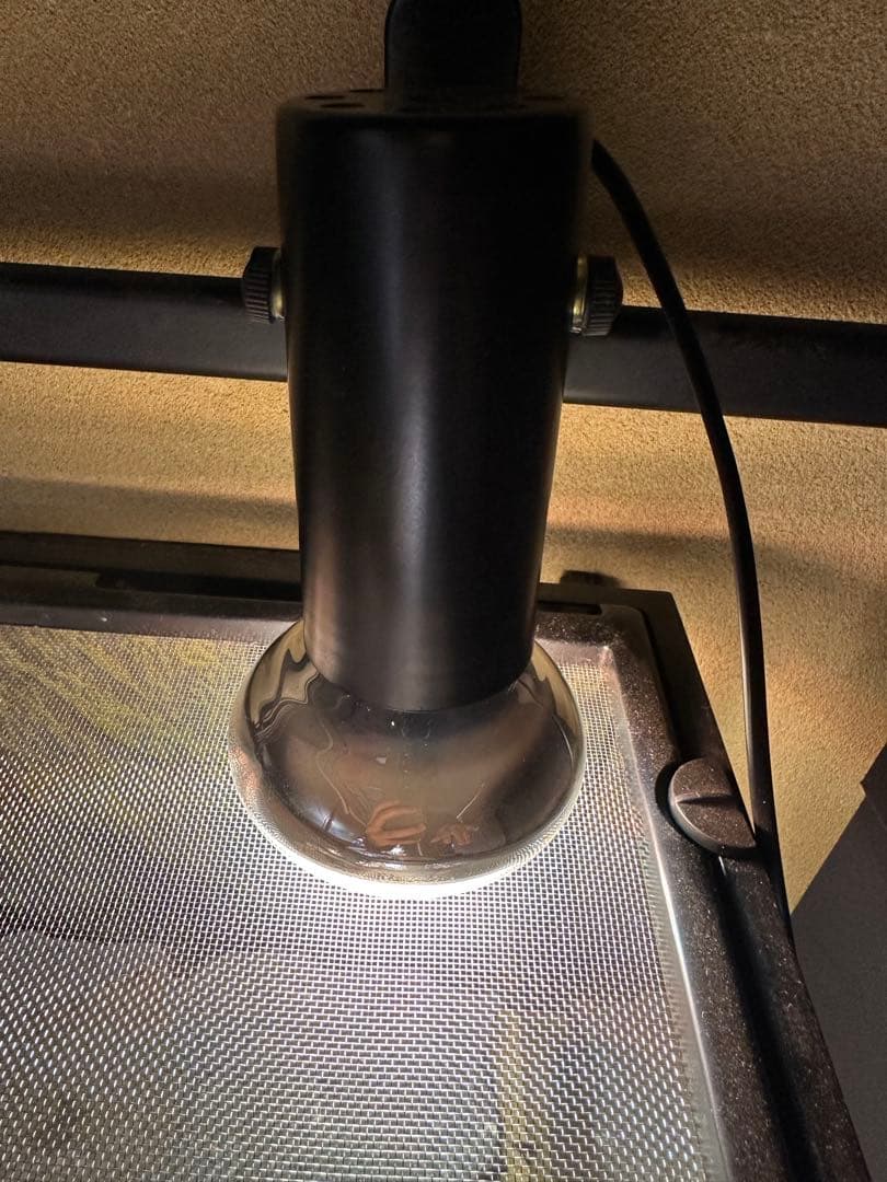 最終価格 爬虫類ケージ セット グラステラリウム他