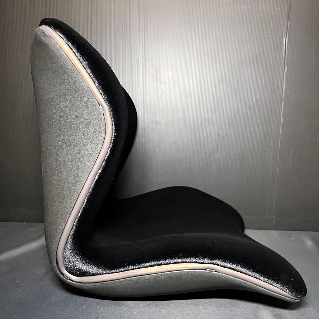 Style premium DX スタイル プレミアム デラックス ブラック