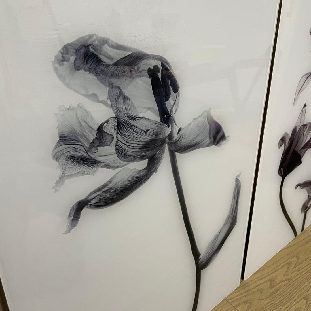 Francfranc　アクリルアート　2枚