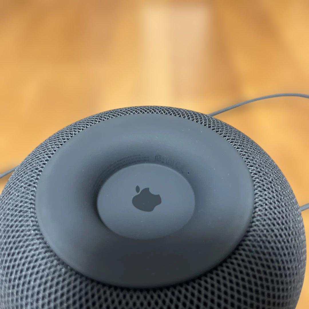 Apple Pod 第1世代　スペースグレー