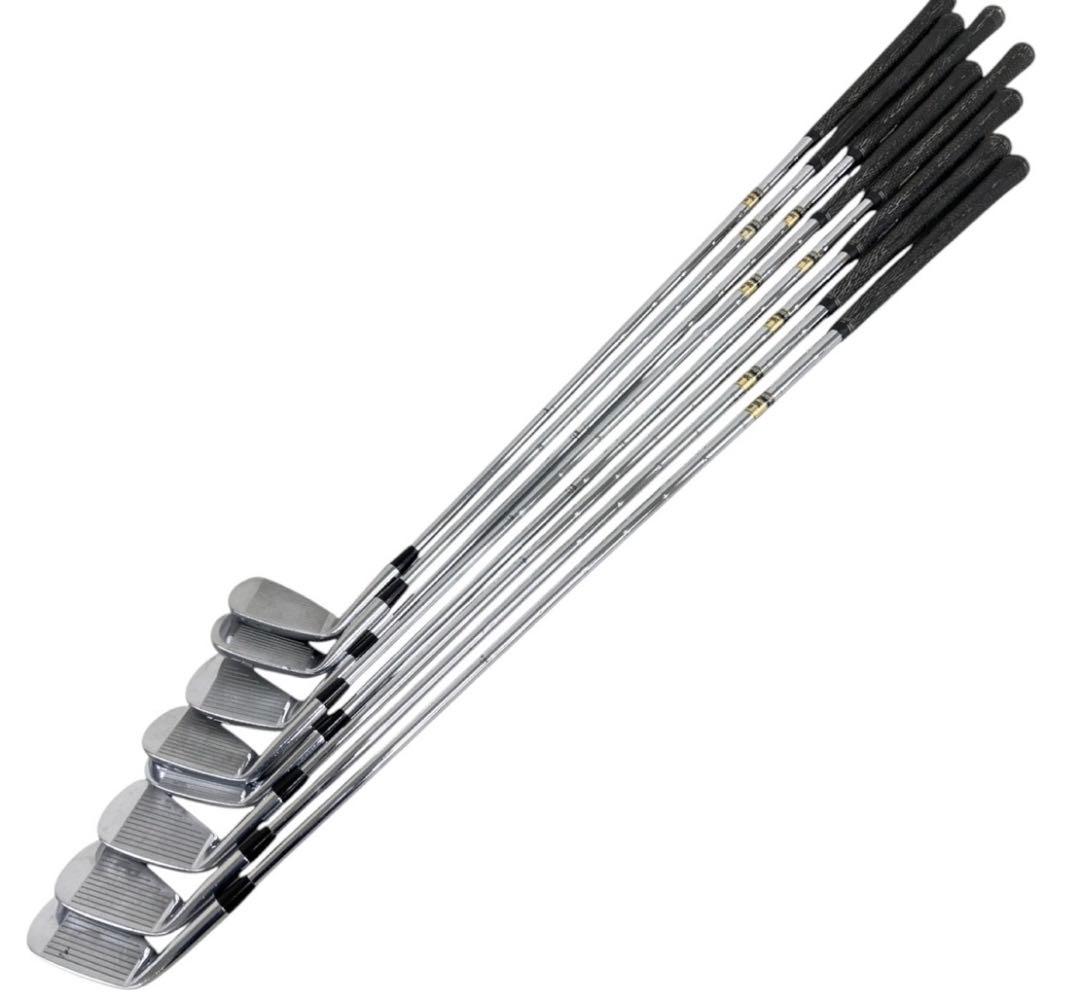 稀少品Titleist タイトリスト 695MB アイアン 3-9/P 8本