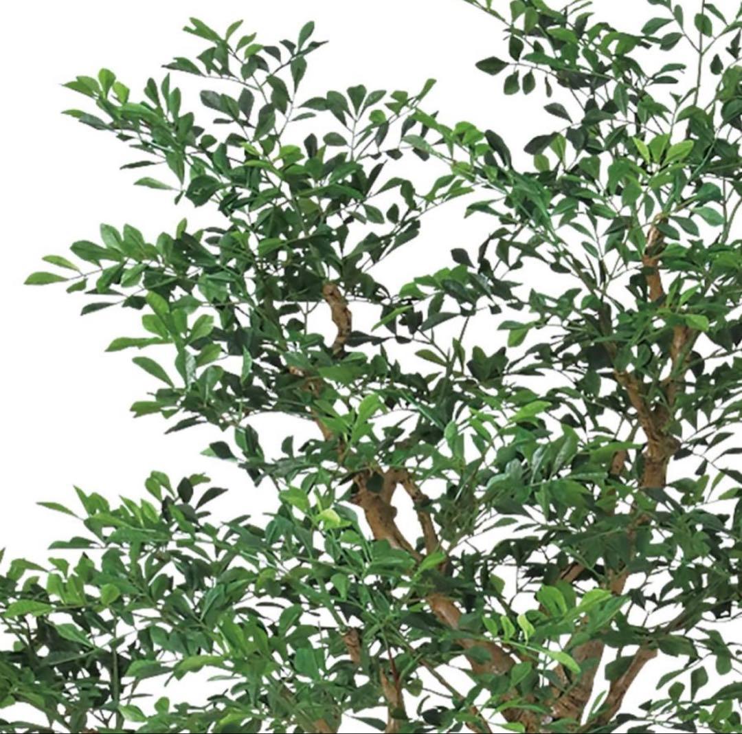 光触媒　人工観葉植物　ウォールグリーン　フェイクグリーン　トネリココアッド