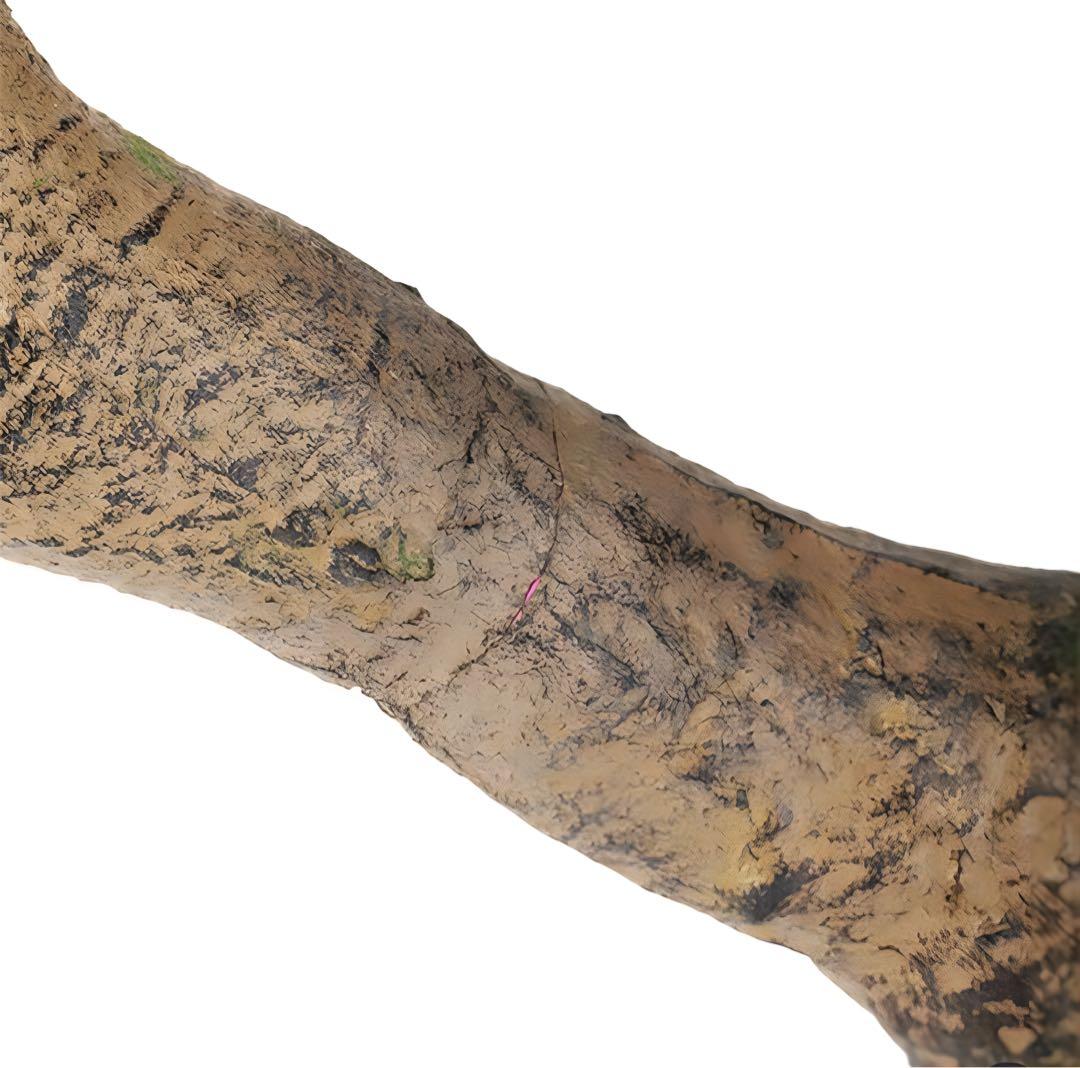 光触媒　人工観葉植物　ウォールグリーン　フェイクグリーン　トネリココアッド