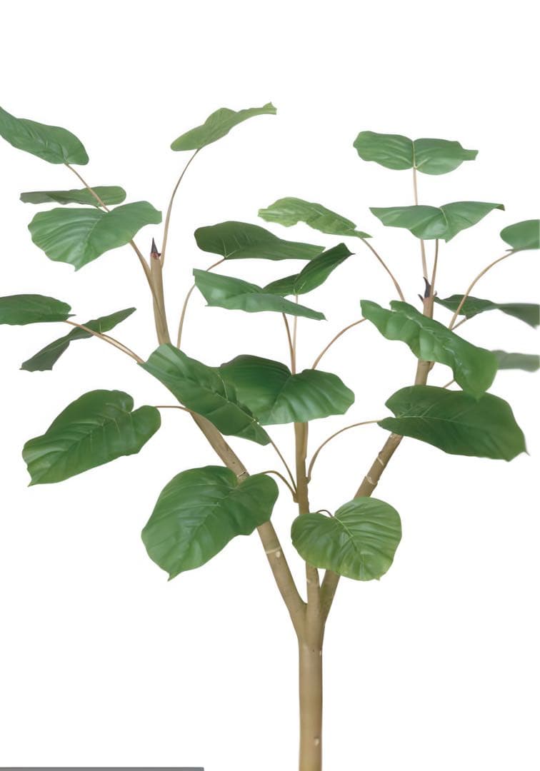 光触媒　人工観葉植物　ウォールグリーン　フェイクグリーン　ウンベラータ1.8p