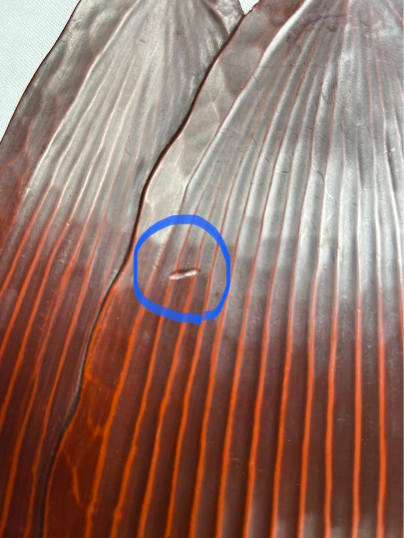 鎌倉彫、葉蘭の銘々皿と菓子おき