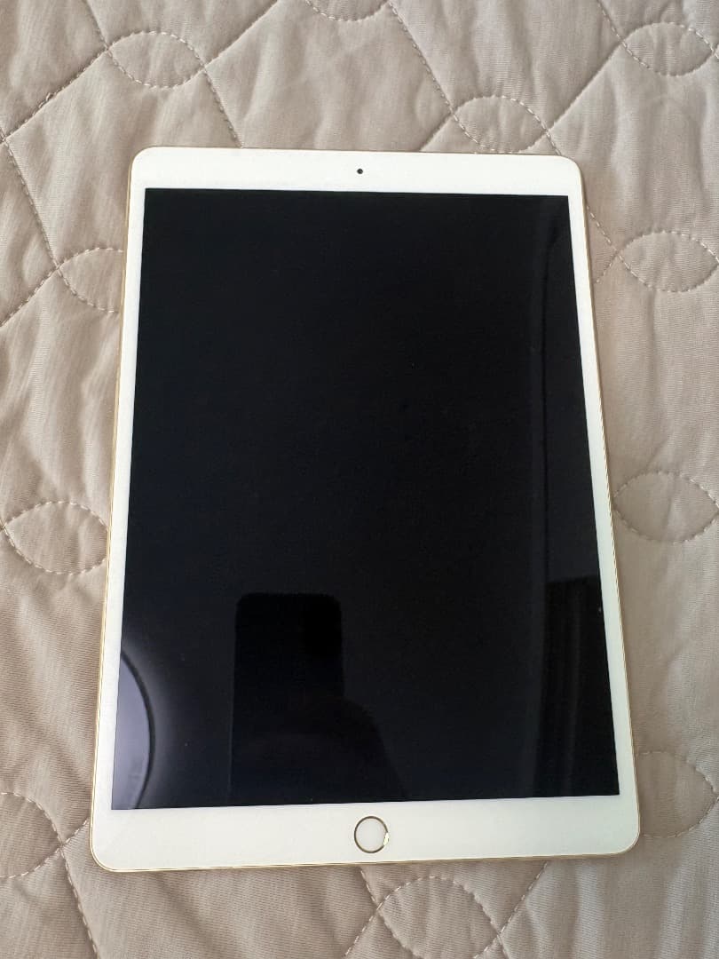 iPad本体 iPad Pro 10.5 Wifi+Cellular Apple Pencil