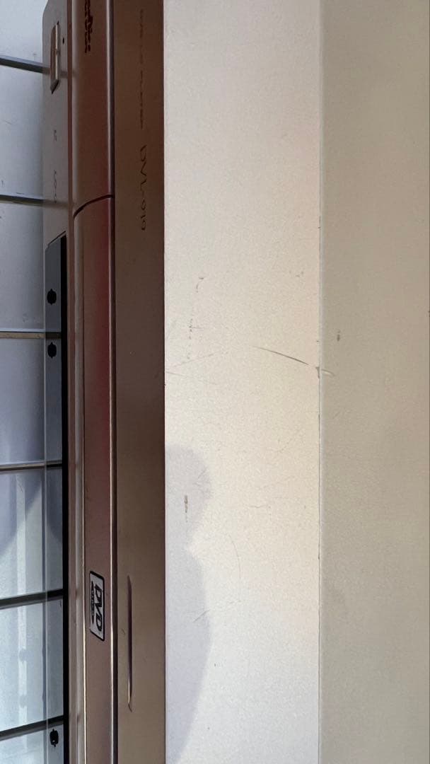 パイオニア(Pioneer)　DVD/LDプレーヤー　 DVL-919