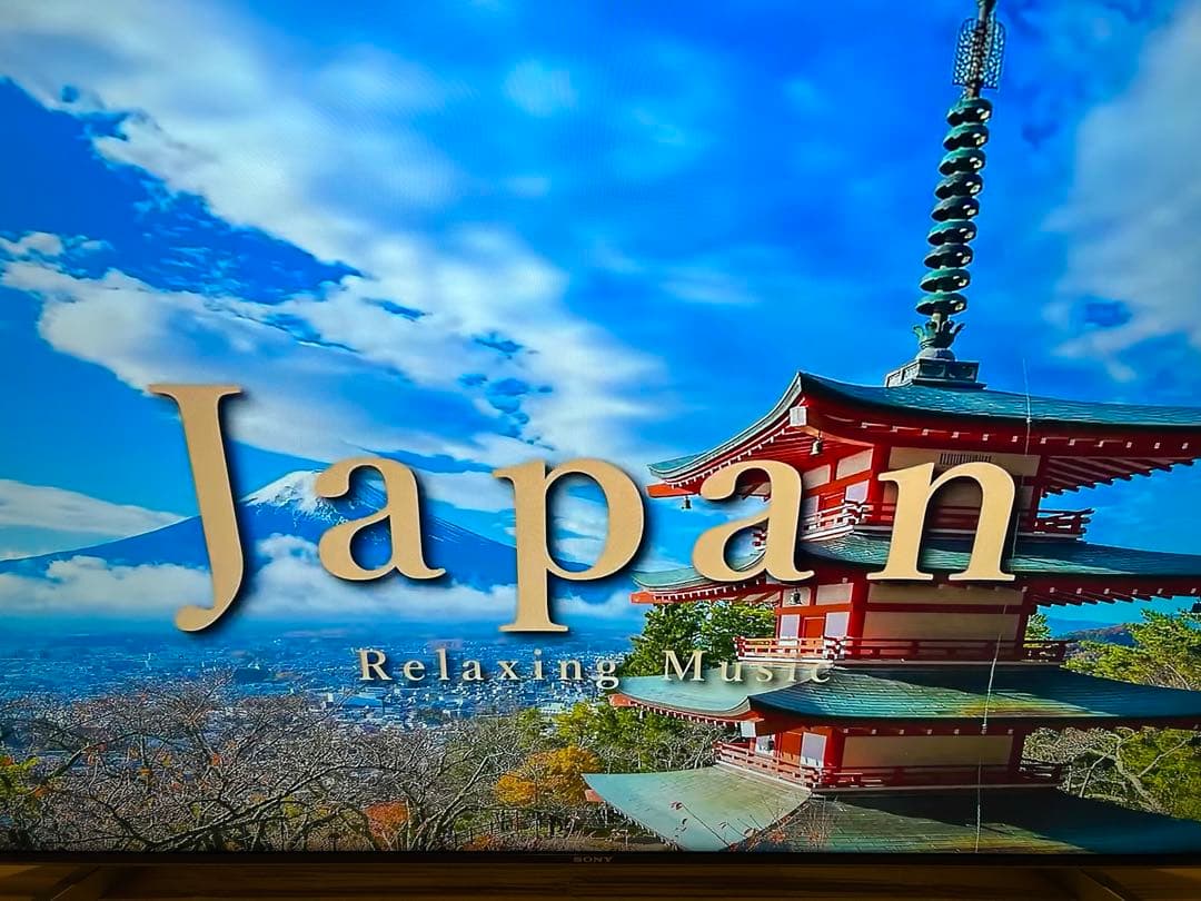 SONY BRAVIAKJ-49X9000F4Kテレビ2018年製