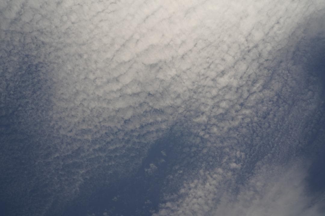 Nikon S2 / NIKKOR-H 5cm F2 黒