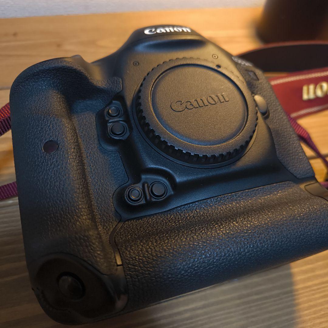 【美品】Canon EOS 1DX(初代)