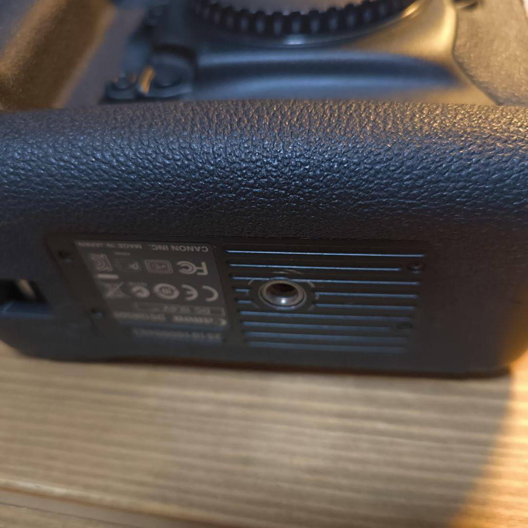 【美品】Canon EOS 1DX(初代)