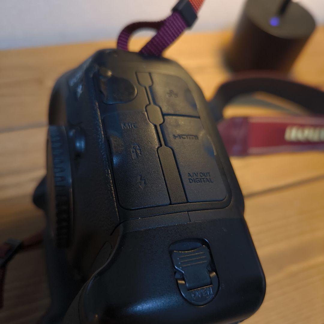 【美品】Canon EOS 1DX(初代)