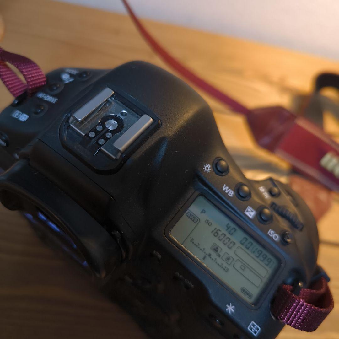 【美品】Canon EOS 1DX(初代)