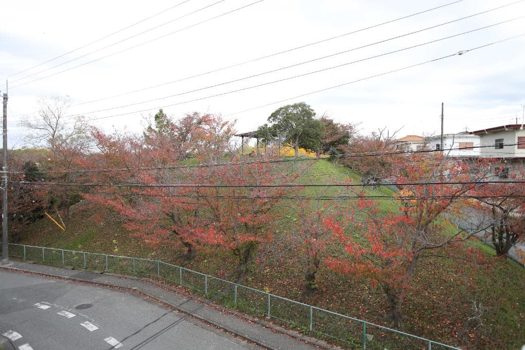 レンズ(単焦点) Canon EF 24mm f/2.8 #7777