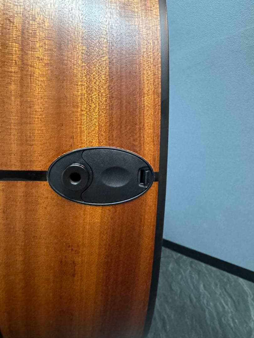 ノン様 Taylor 114e ES2 (エレアコ) 美品 ※純正ハードケース付