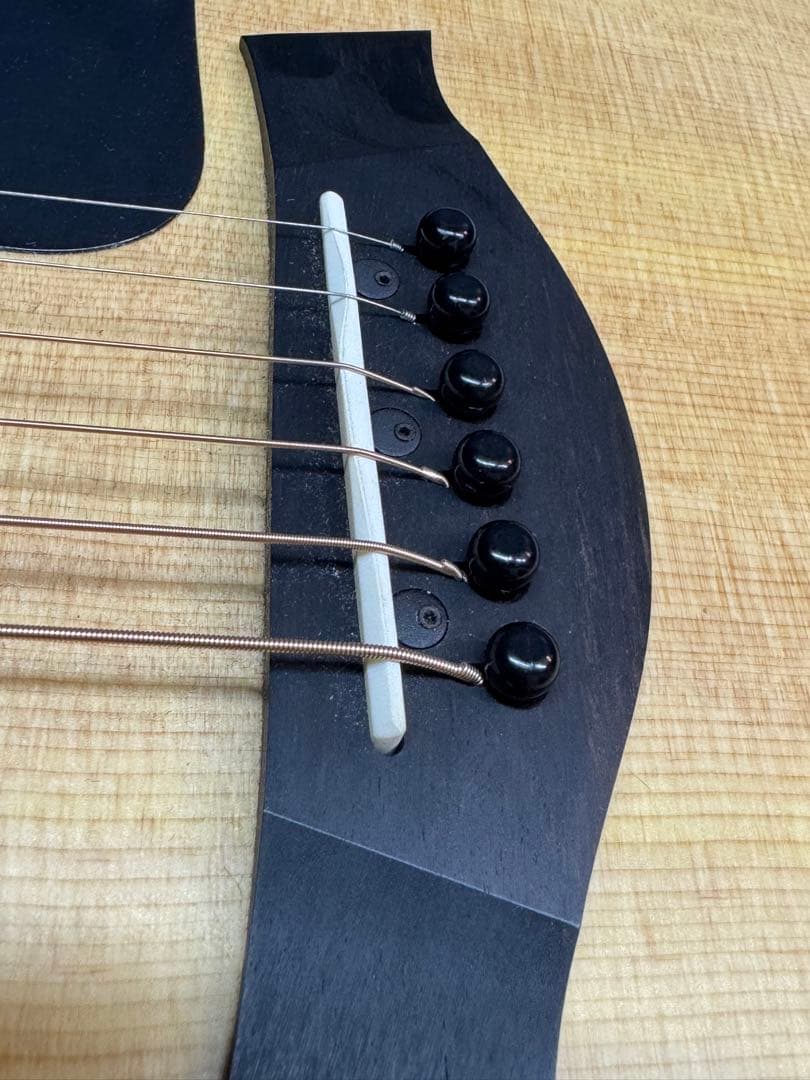 ノン様 Taylor 114e ES2 (エレアコ) 美品 ※純正ハードケース付