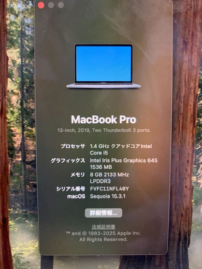 【美品】MacBook Pro 13インチ 2019年モデル 8GB